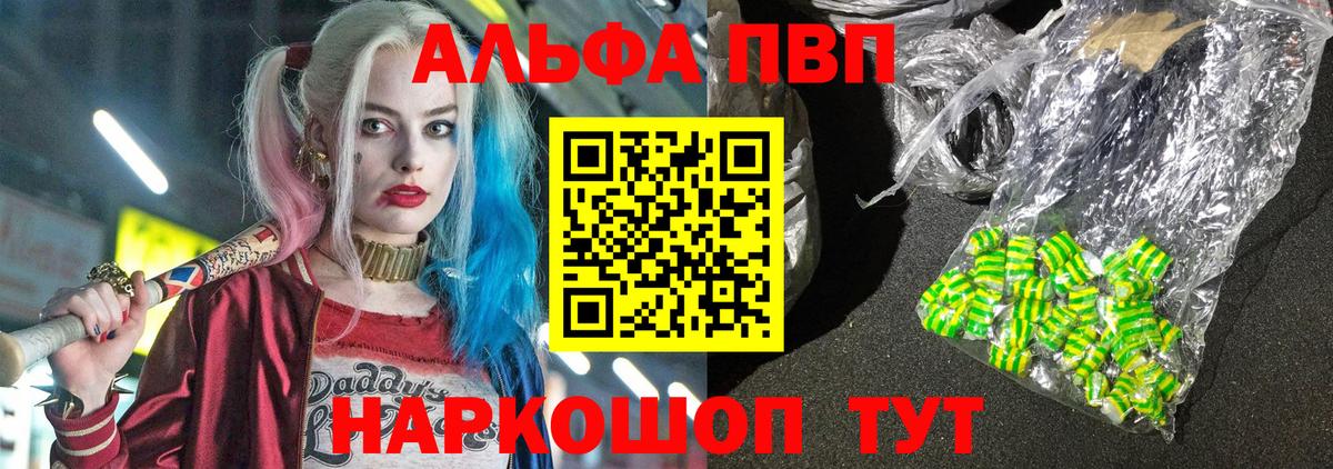 A PVP СК Владимир